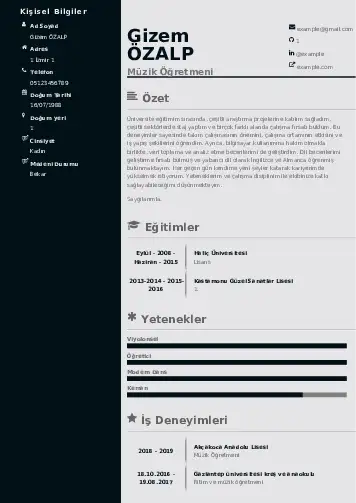 Müzik Öğretmeni Cv Örnekleri cv indir